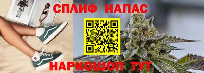 spice Камышлов