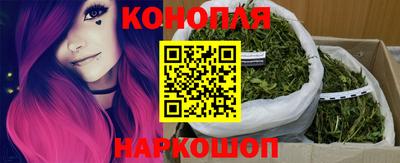 spice Камышлов