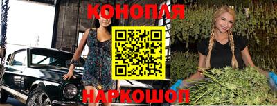 spice Камышлов