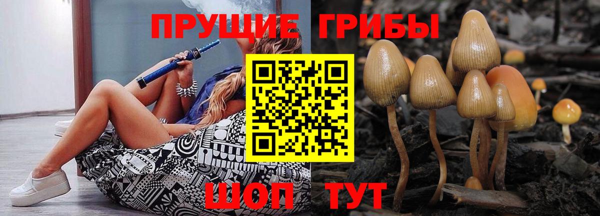 Галлюциногенные грибы прущие грибы  Вход с VPN  Камышин 